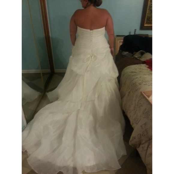 Alfredo Angelo Style 2353W, Size 24W - Picture 4 of 9